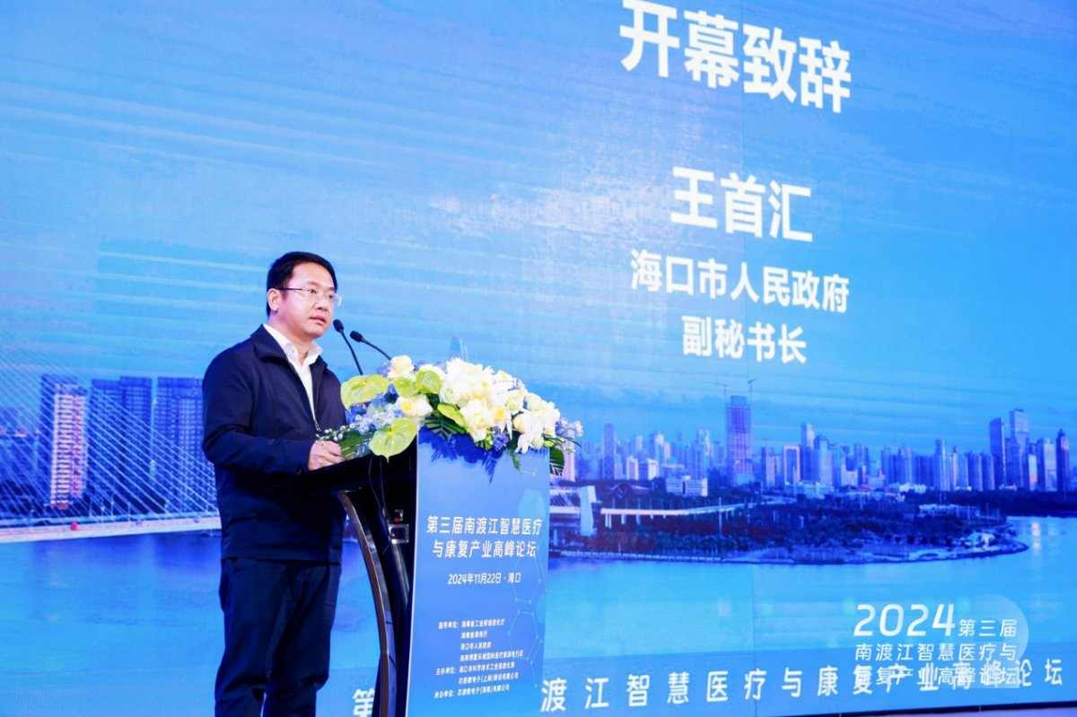 海口市人民政府副秘书长王首汇：在培育集成电路等战略性新兴产业上取得显著成效(图1)