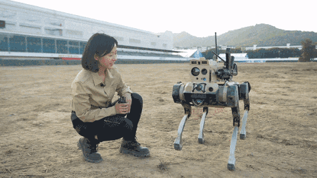 中国“机器狼群”首次亮相第15届珠海航展，身背机枪实现集群作战(图2)