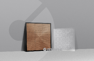 从CoWoS走向CoPoS，2.5D封装的一场技术变革即将到来(图10)