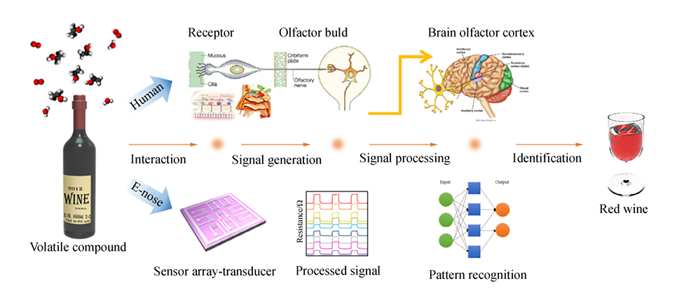 突发,广东一家传感器明星公司破产!深圳芯闻科技有限公司(图11) wKgZO2lx6piASRDcAALi0ePFzUE135.png